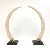 Amazing pair of french 1970's CAST RESIN Tusk sculptures .