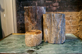 Selection of Petrified Wood Pieces