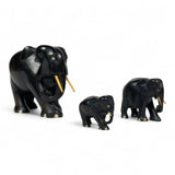 Group of early twentieth century Ebony elephants with bone details.