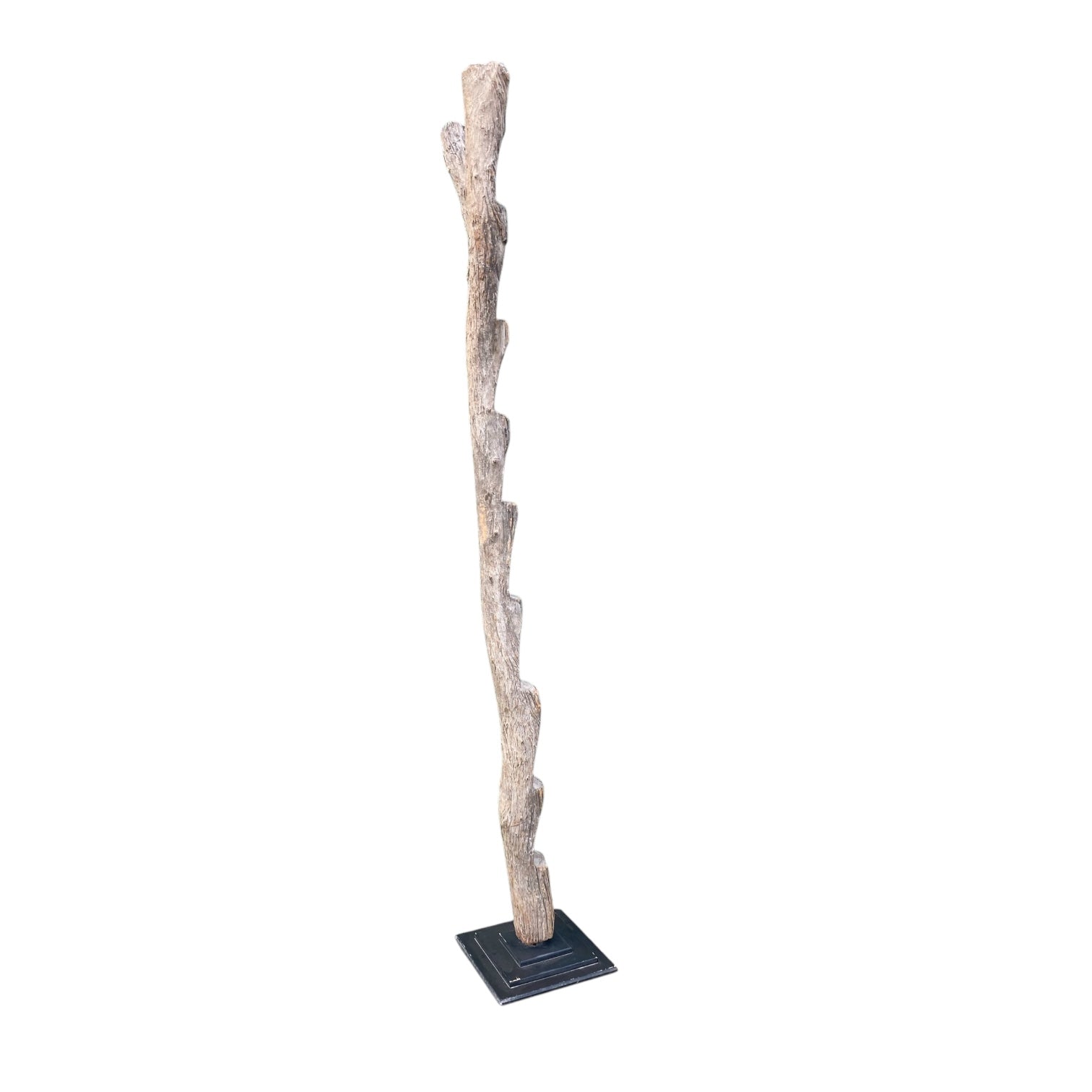 Large  antique Dogon grannery ladder.