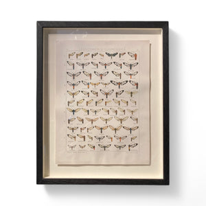 Antique framed butterfly print circa 1910