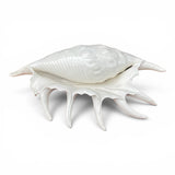 Large 1970's Ceramic seashell by