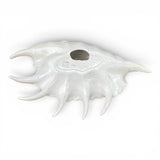 Large 1970's Ceramic seashell by