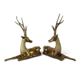 Large pair of mid century solid brass recumbent deer.