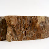 Superb petrified wood bowl from the late tertiary period