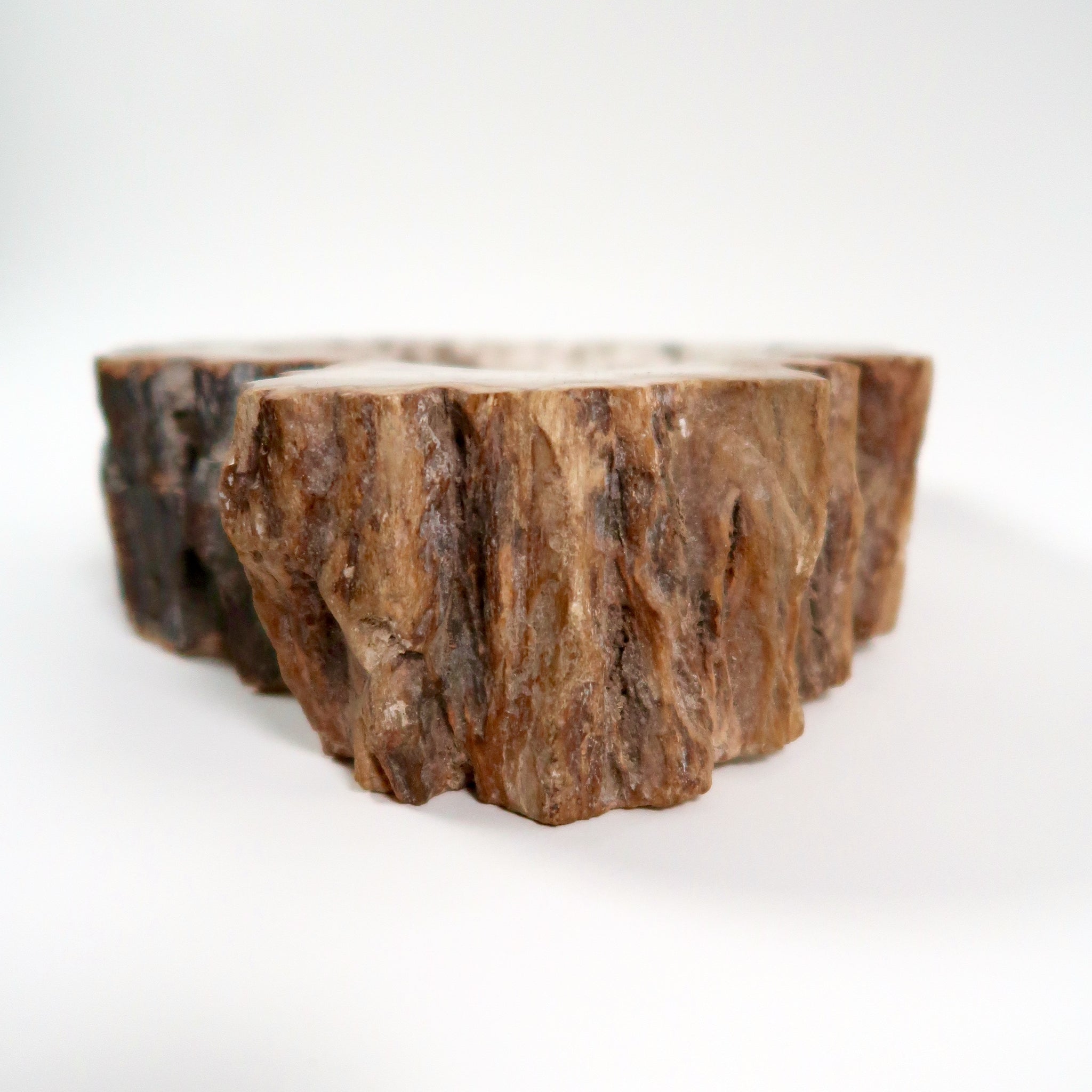 Superb petrified wood bowl from the late tertiary period