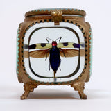 Jewel beetle in a gilt metal jewel casket by Les Couilles du Chien .