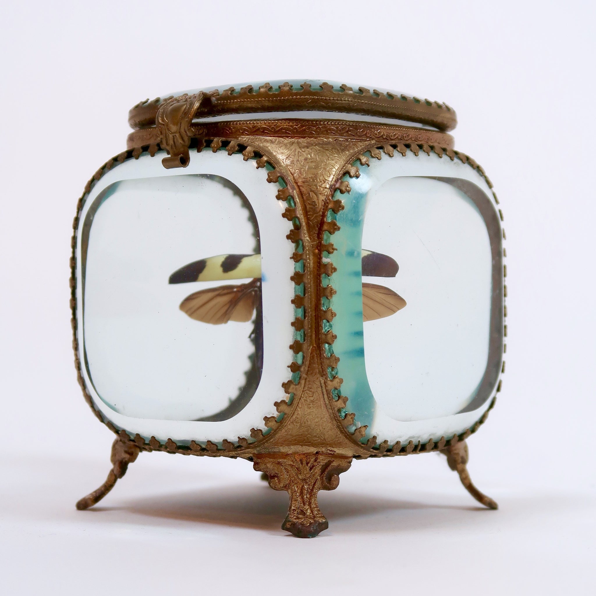 Jewel beetle in a gilt metal jewel casket by Les Couilles du Chien .