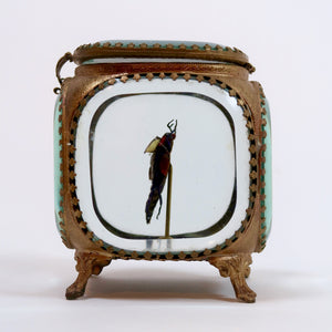 Jewel beetle in a gilt metal jewel casket by Les Couilles du Chien .