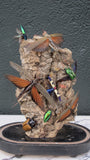 X Diorama of jewel beetles set in a victorian glass dome