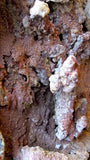 X Very large and rare Brazilian floor standing geode with unpolished formations of amethyst and quartz.
