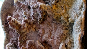 X Very large and rare Brazilian floor standing geode with unpolished formations of amethyst and quartz.