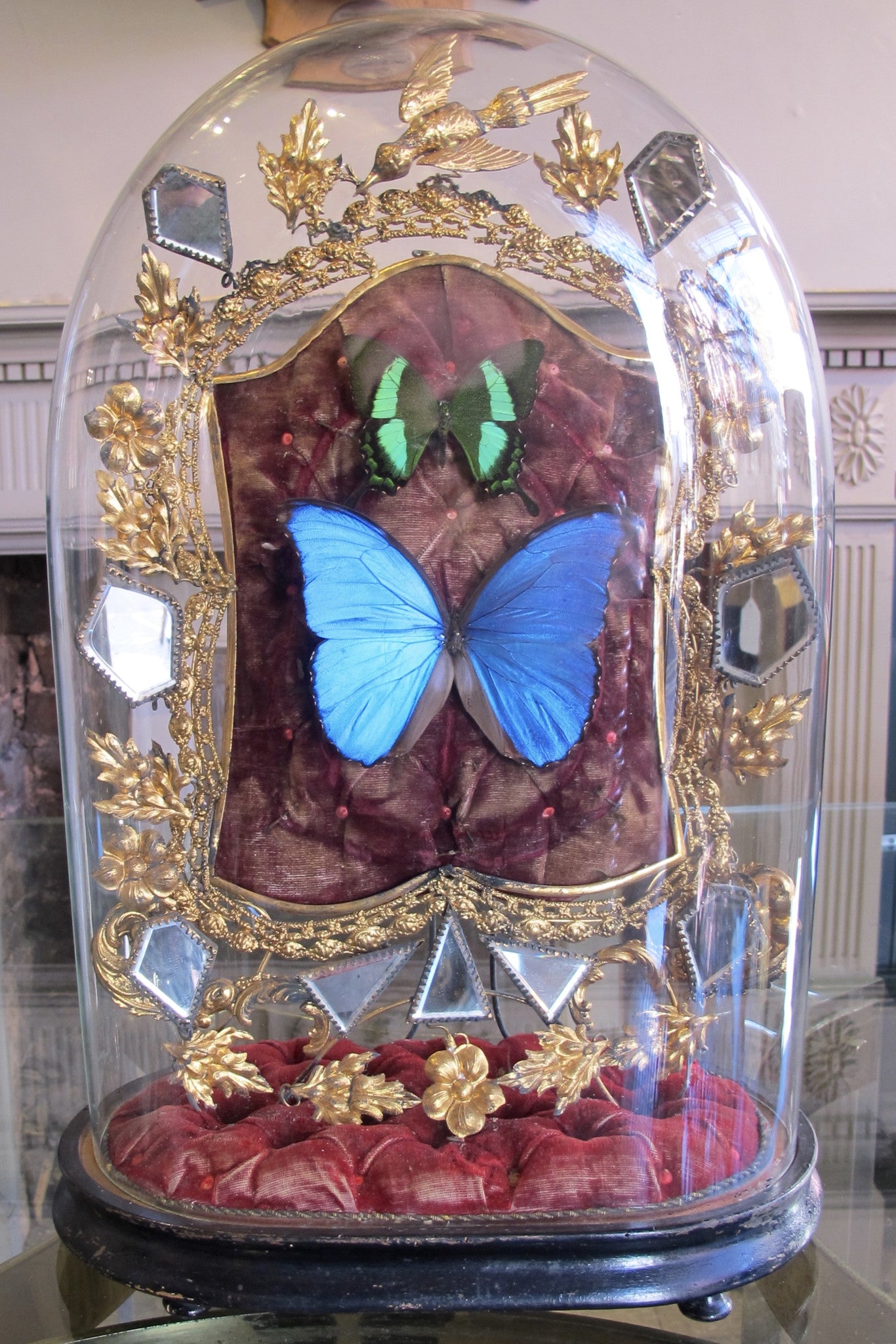 Butterflies in a Antique Bell Jar