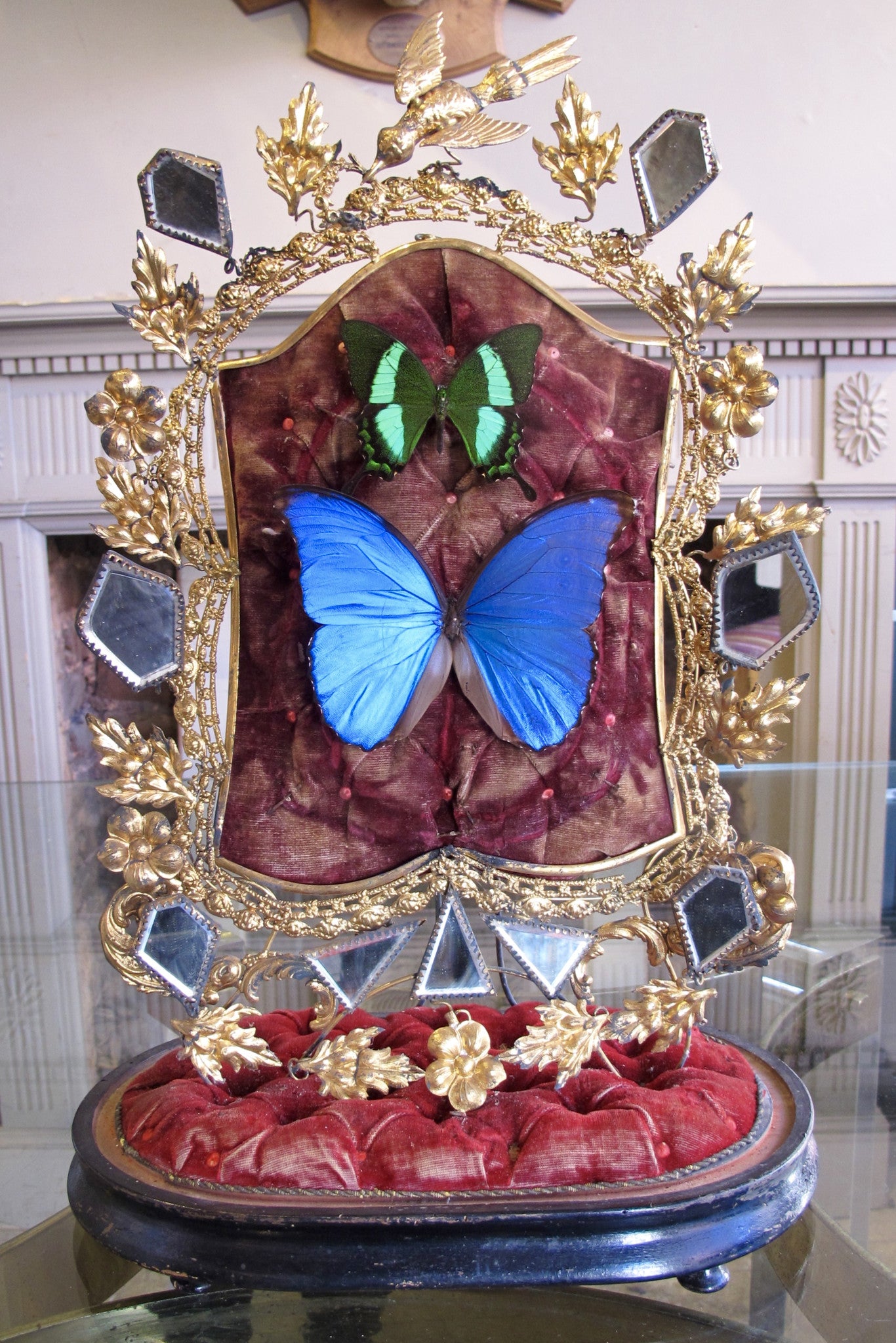 Butterflies in a Antique Bell Jar