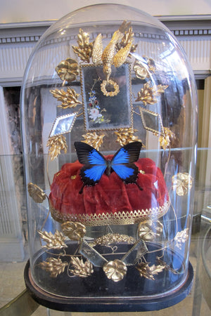 Butterfly in a Antique Bell Jar