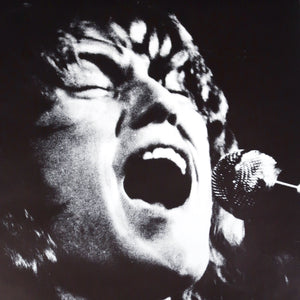 Original black and white 1970's poster of Alvin Lee .