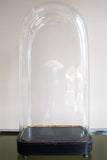 Large selection of empty antique glass domes available .