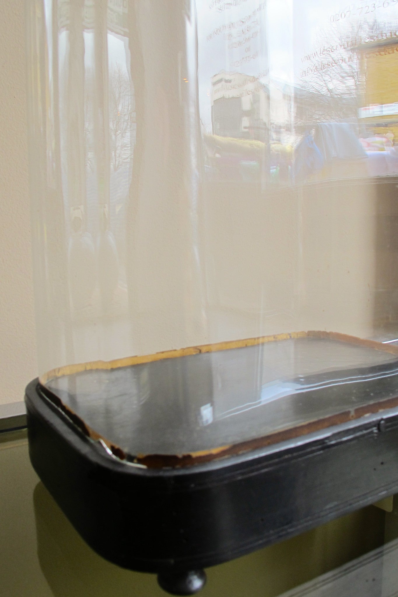 Large selection of empty antique glass domes available .