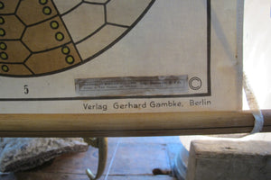 X Large linen backed wall chart of a starfish , early 20th century.