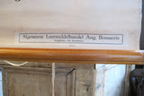 X Large linen backed wall chart of sea anemones , early 20th century.