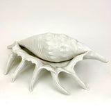 Large vintage Italian ceramic seashell sculpture .