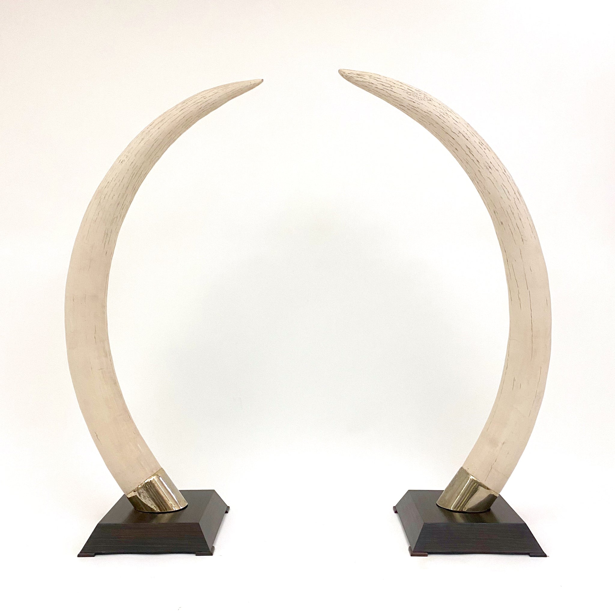 Amazing pair of french 1970's CAST RESIN Tusk sculptures .