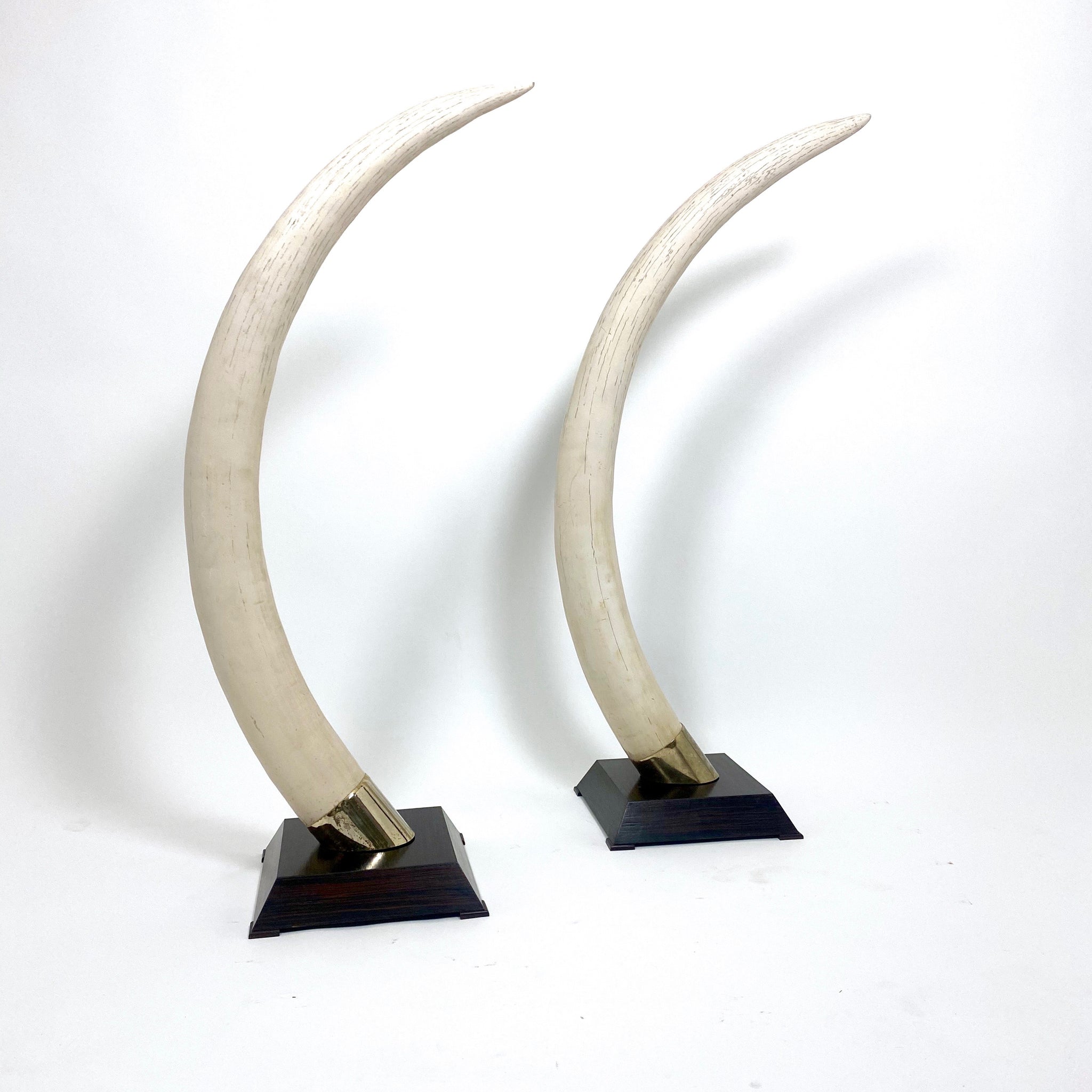 Amazing pair of french 1970's CAST RESIN Tusk sculptures .