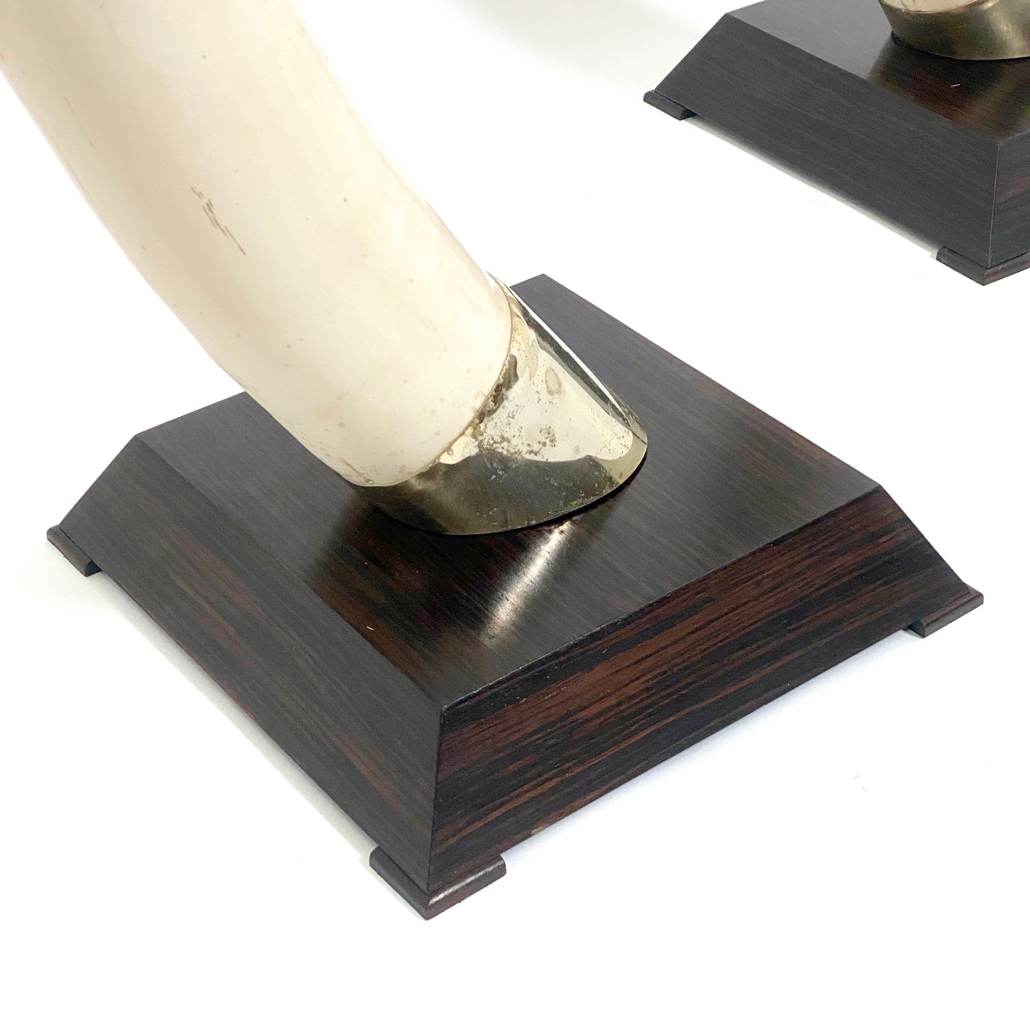 Amazing pair of french 1970's CAST RESIN Tusk sculptures .