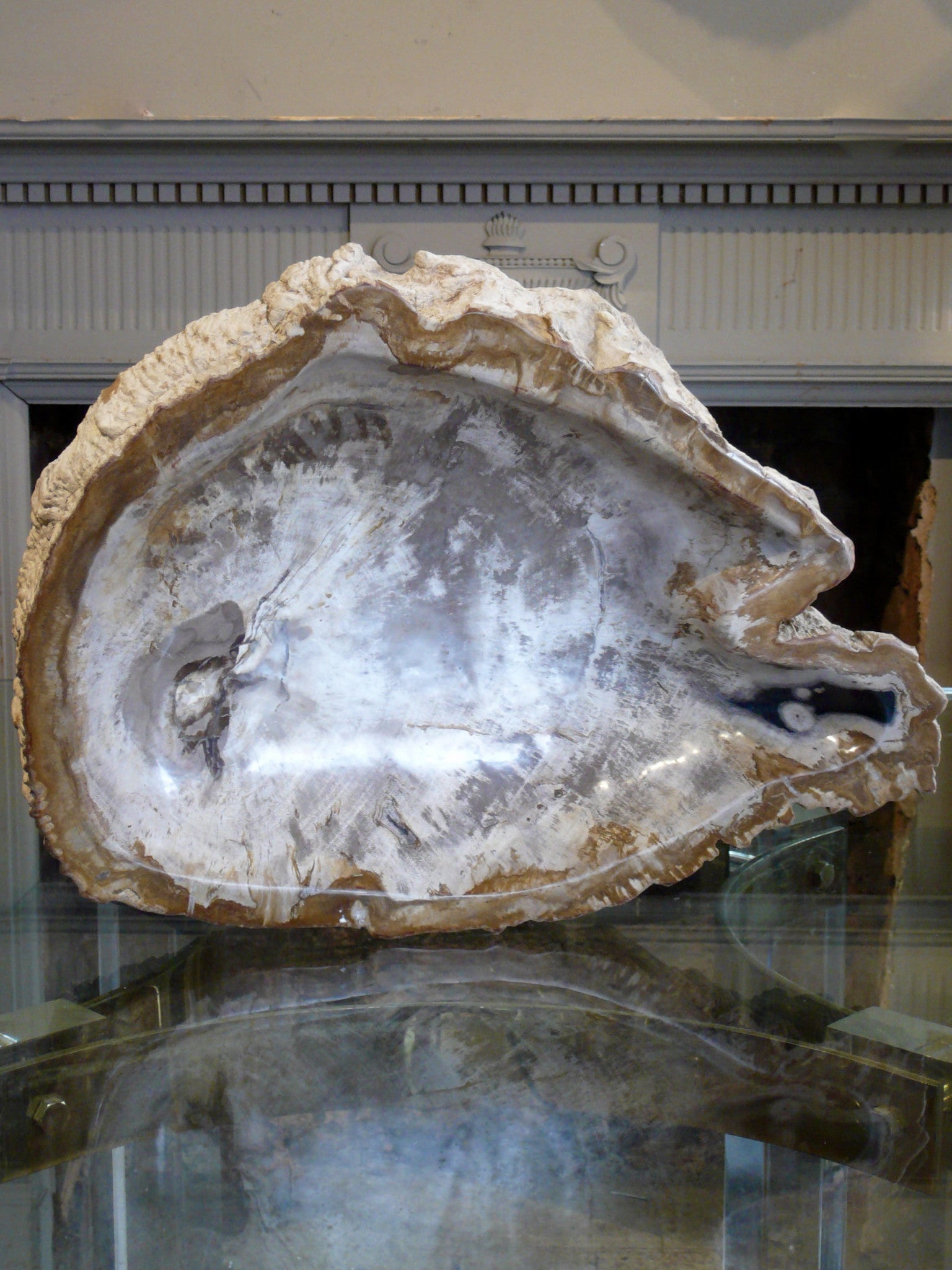X Large Petrified Wood bowl