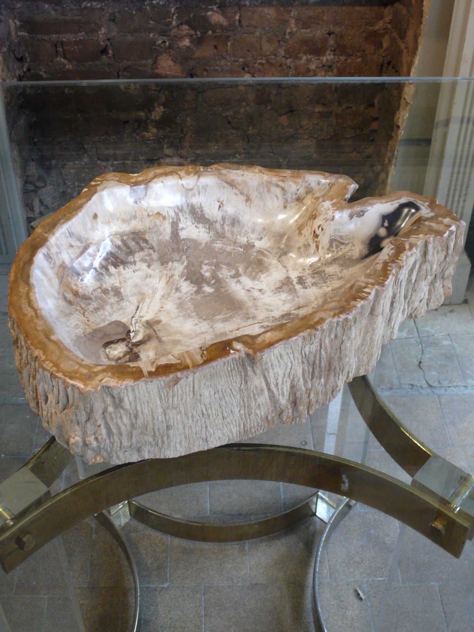 X Large Petrified Wood bowl