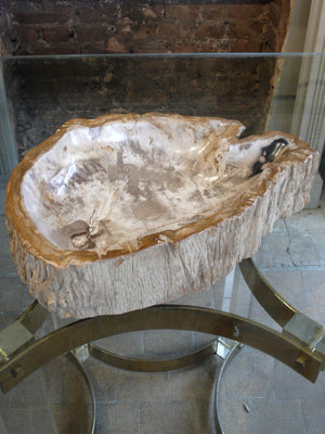 X Large Petrified Wood bowl