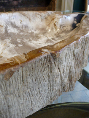 X Large Petrified Wood bowl