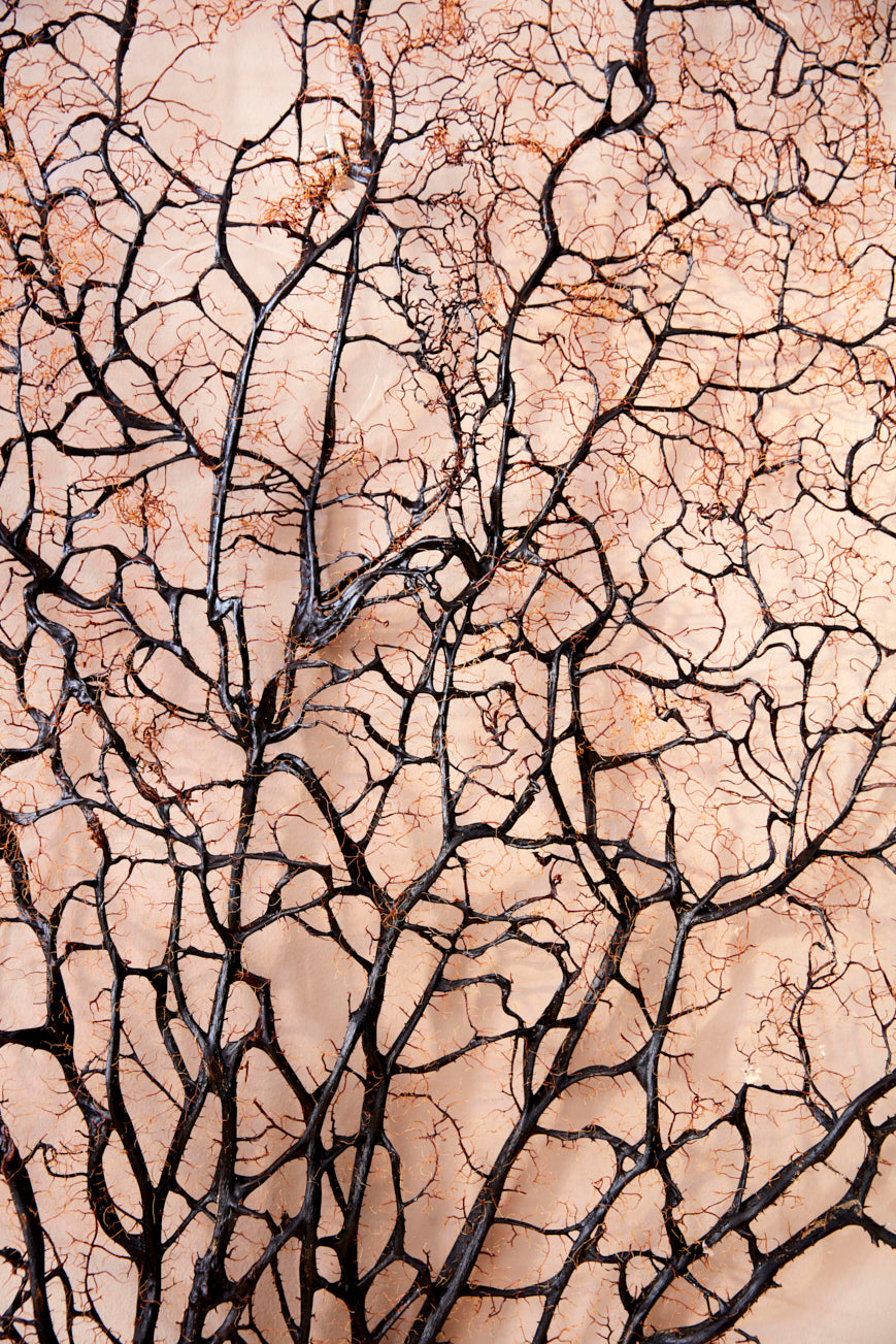 Decorative Giant sea fans 160 cm tall . 2 available