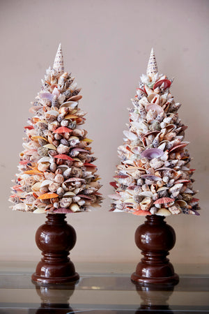 Conical sea shell sculpture on turned wooden bases 2 available .