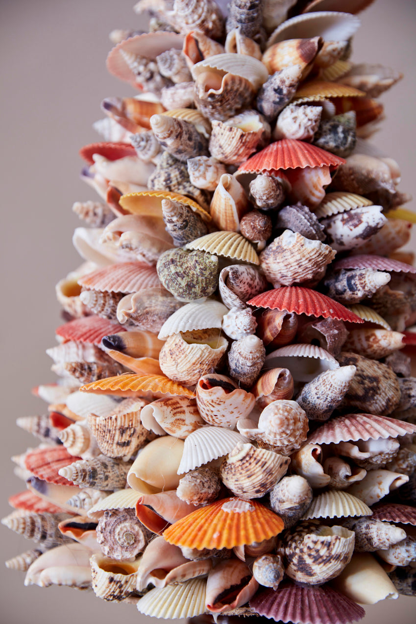 Conical sea shell sculpture on turned wooden bases 2 available .