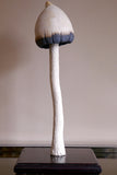 Large Ceramic Magic Mushroom