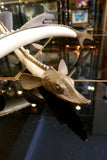 X Pair of Resin and Brass Sturgeon`s by Franco Lagini