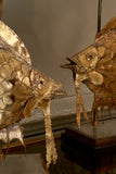 X Pair of Brass Fish Table Lamps