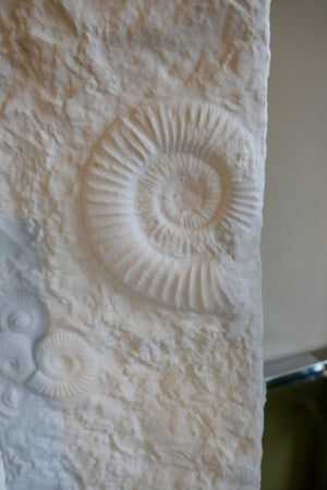 X Set 3 of fossil ceramic vases  by kaiser