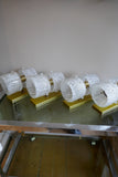 X Set of Four Glass and Brass Wall Lights
