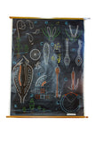 X Large linen backed wall chart of zooplankton , early 20th century.