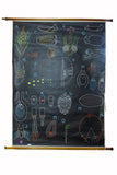 X Large linen backed wall chart of cells, early 20th century.