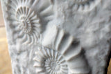 Large German bisque pottery Fossil Vase circa 1960