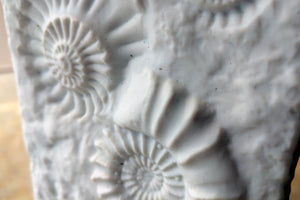 Large German bisque pottery Fossil Vase circa 1960