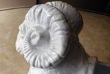 X Interesting Porcelain Ram Planter