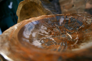 Selection of fossilised wood bowls.