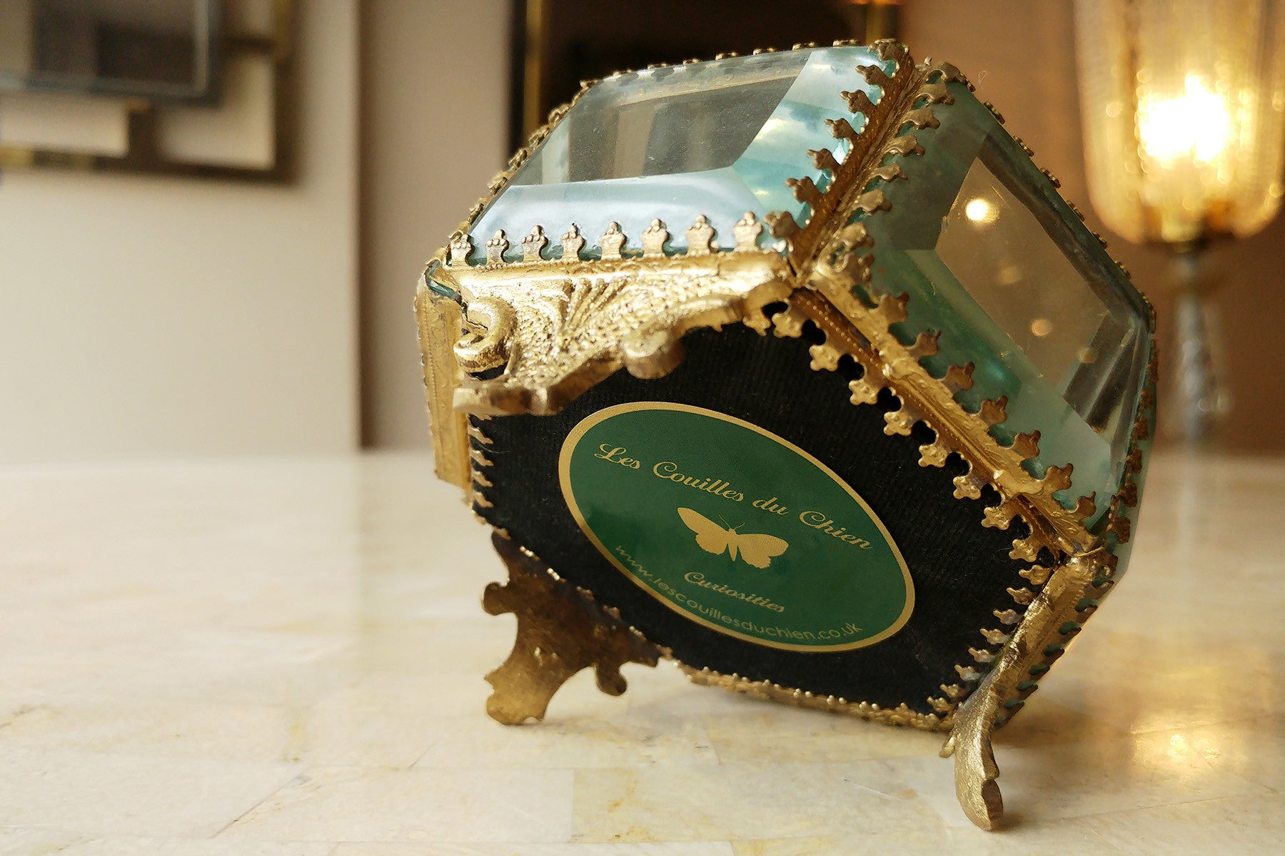 Decorative Box Containing a Butterfly