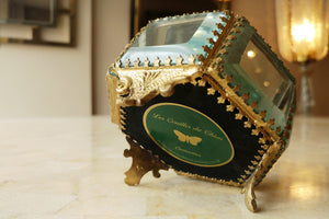 Decorative Box Containing a Butterfly