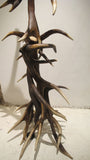 Impressive   deer Antler Floor Lamp