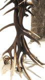 Impressive   deer Antler Floor Lamp